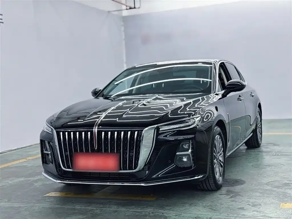 Hongqi H5 2024 из CN, фото 5