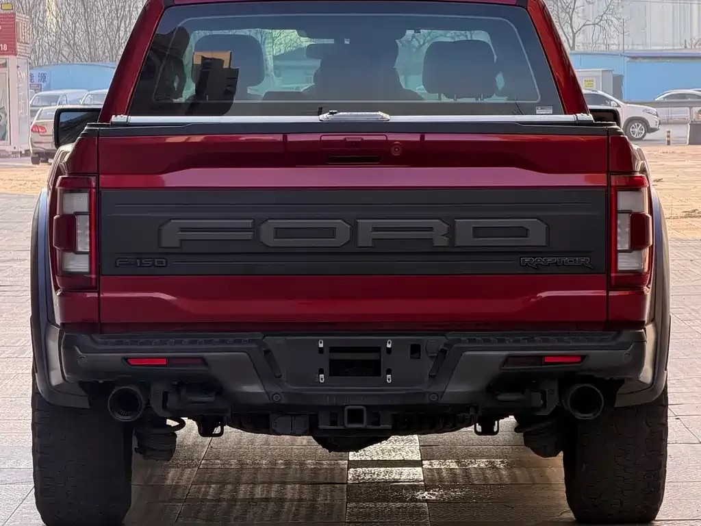 Ford F-150 Raptor 2023 из CN, фото 10