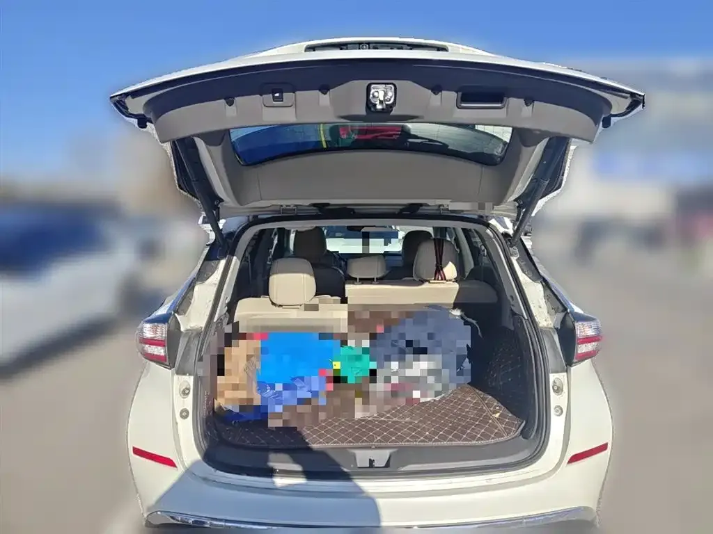 Nissan Murano 2021 из CN, фото 9