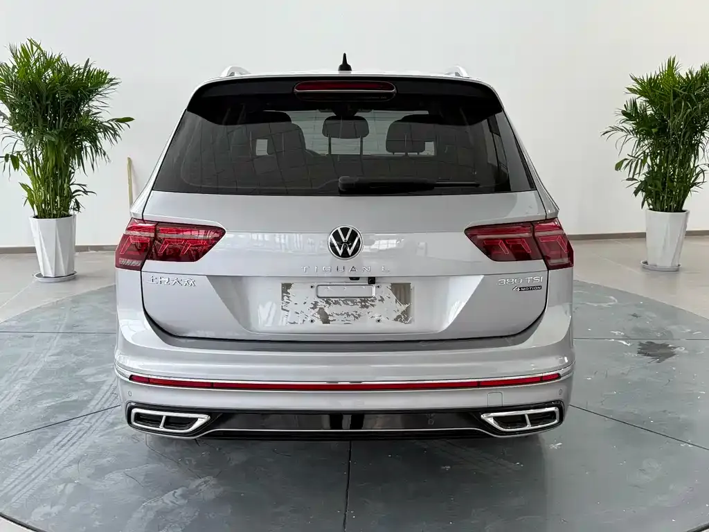 Volkswagen Tiguan L 2021 из CN, фото 4