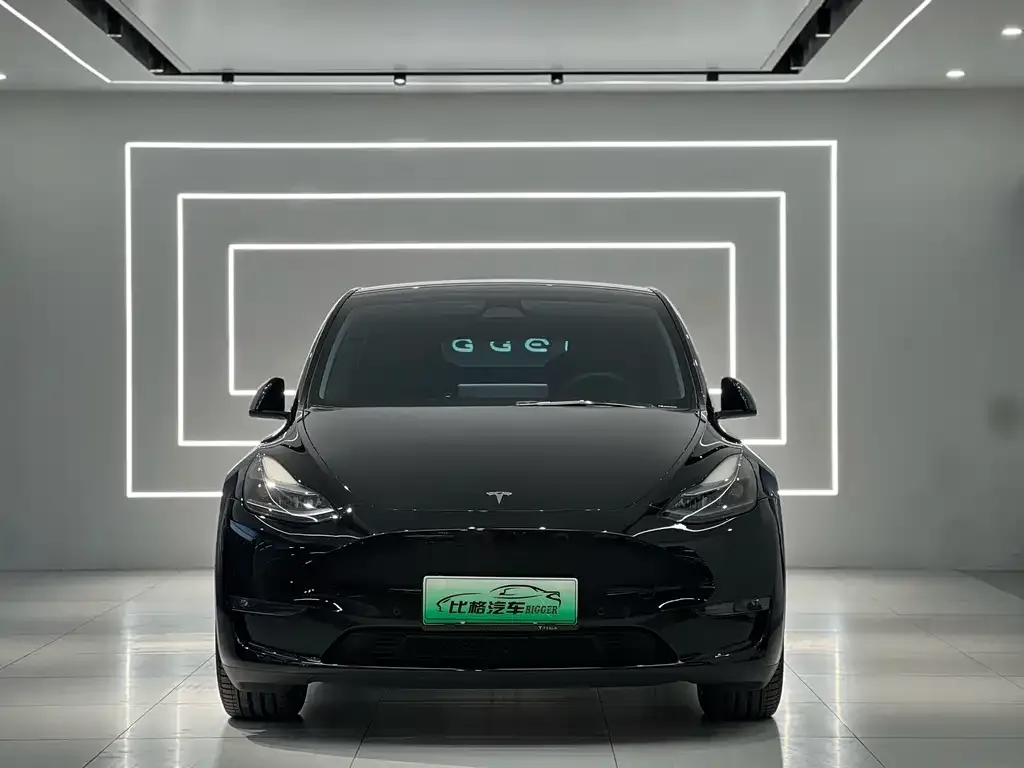 Tesla Model Y — фото 2