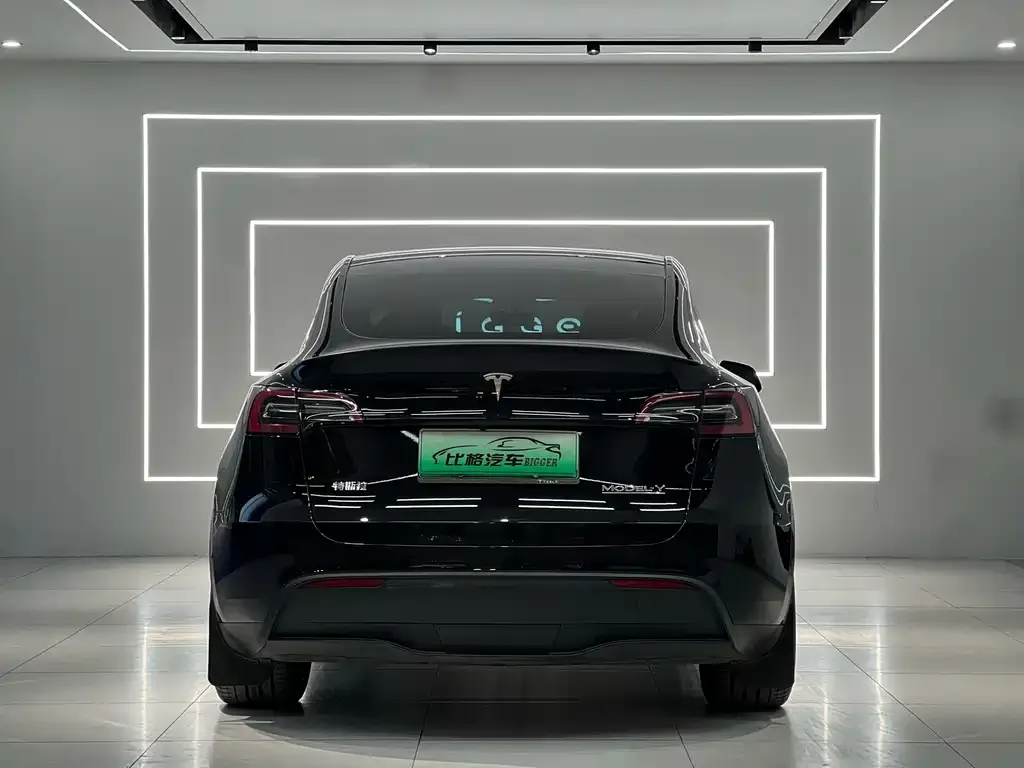 Tesla Model Y — фото 9