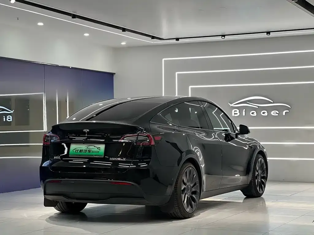 Tesla Model Y — фото 8