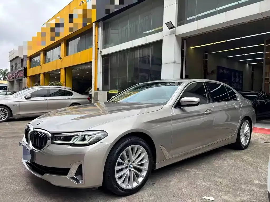 BMW 5 Series 2021 из CN, фото 1
