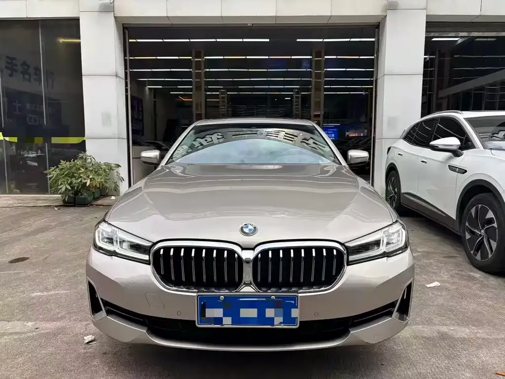 BMW 5 Series 2021 из CN, фото 5