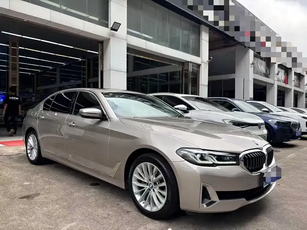 BMW 5 Series 2021 из CN, фото 2