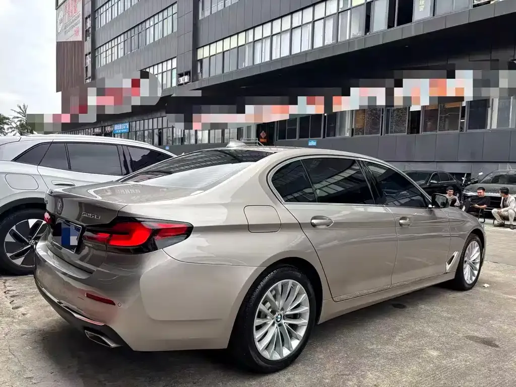 BMW 5 Series 2021 из CN, фото 8