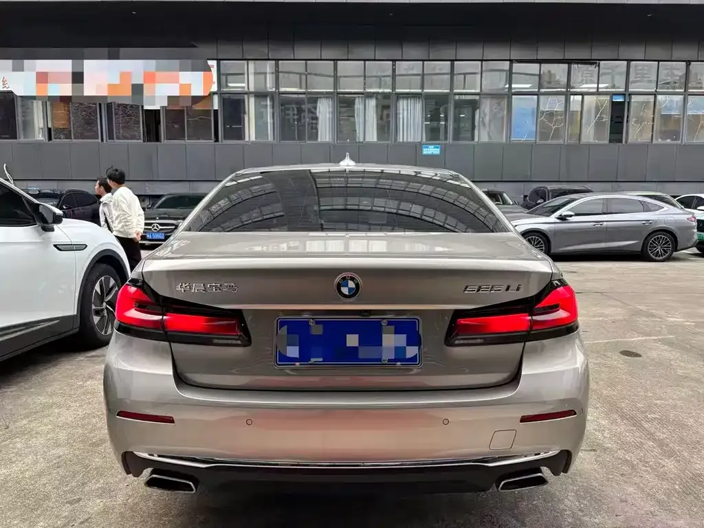 BMW 5 Series 2021 из CN, фото 3