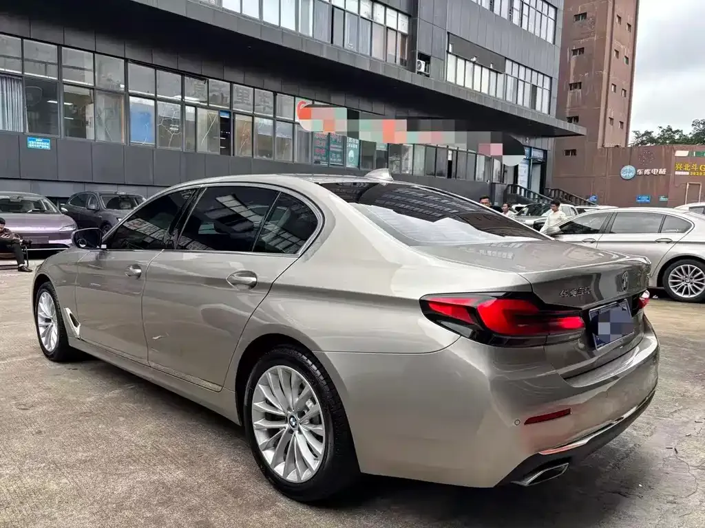BMW 5 Series 2021 из CN, фото 9