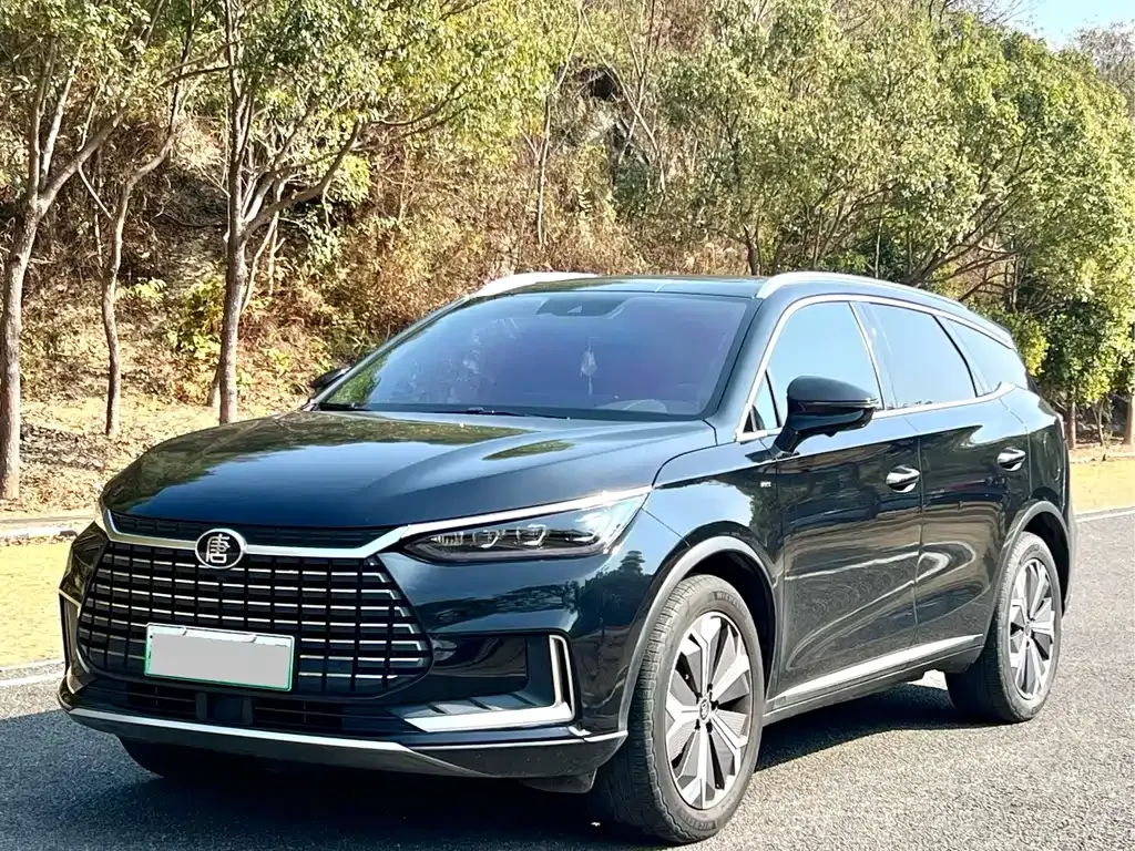 BYD Tang New Energy 2021 из CN, фото 1