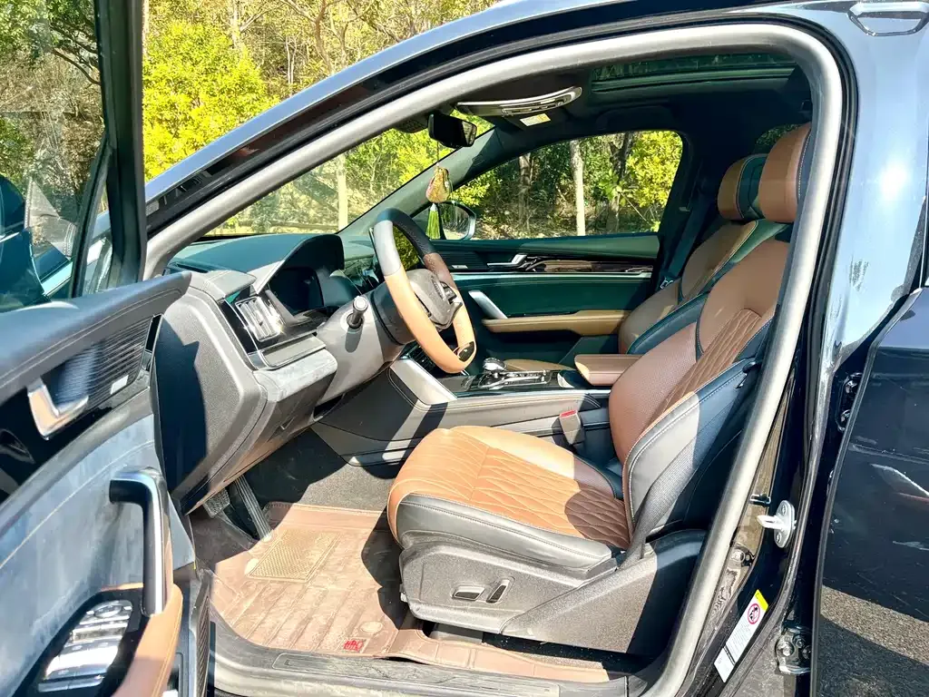BYD Tang New Energy 2021 из CN, фото 5