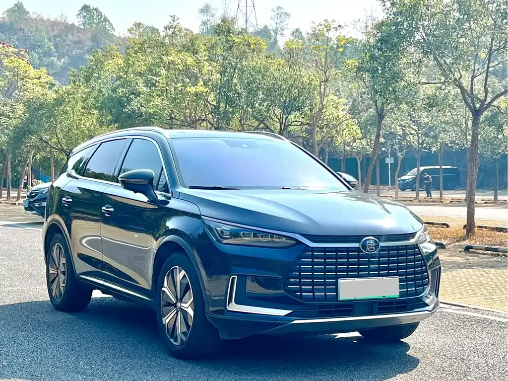 BYD Tang New Energy 2021 из CN, фото 10