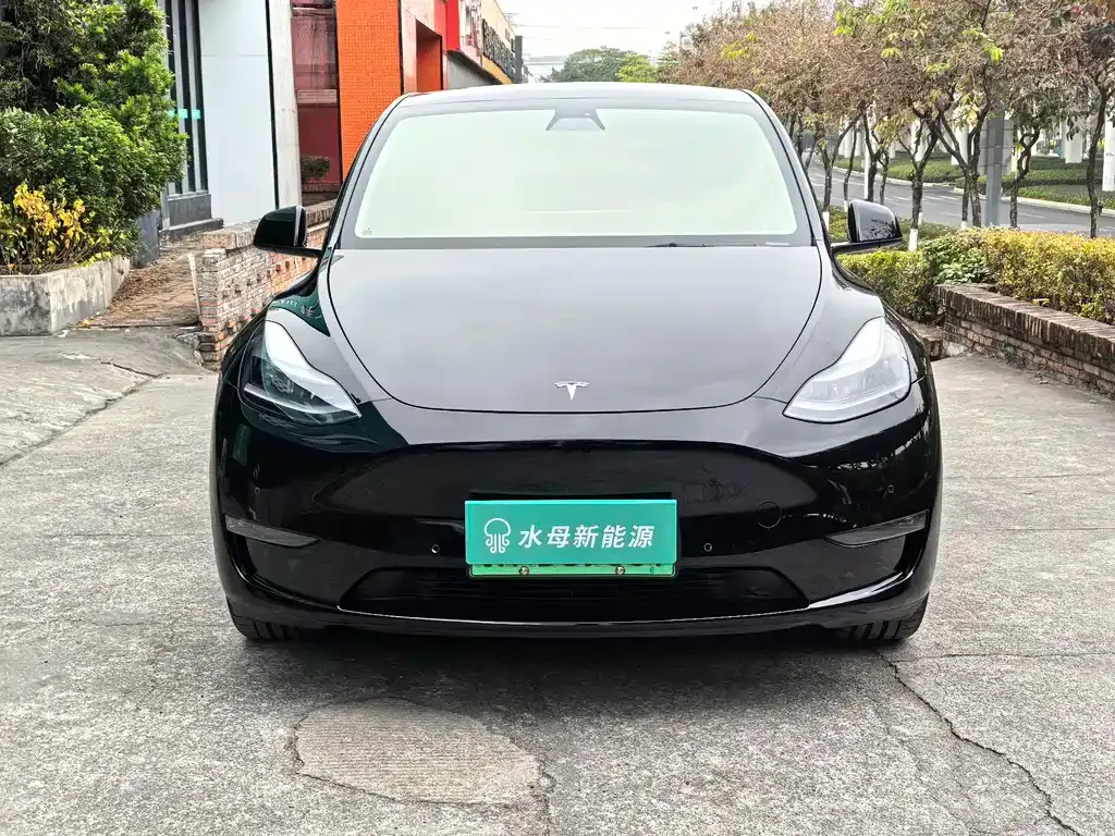 Tesla Model Y — фото 2