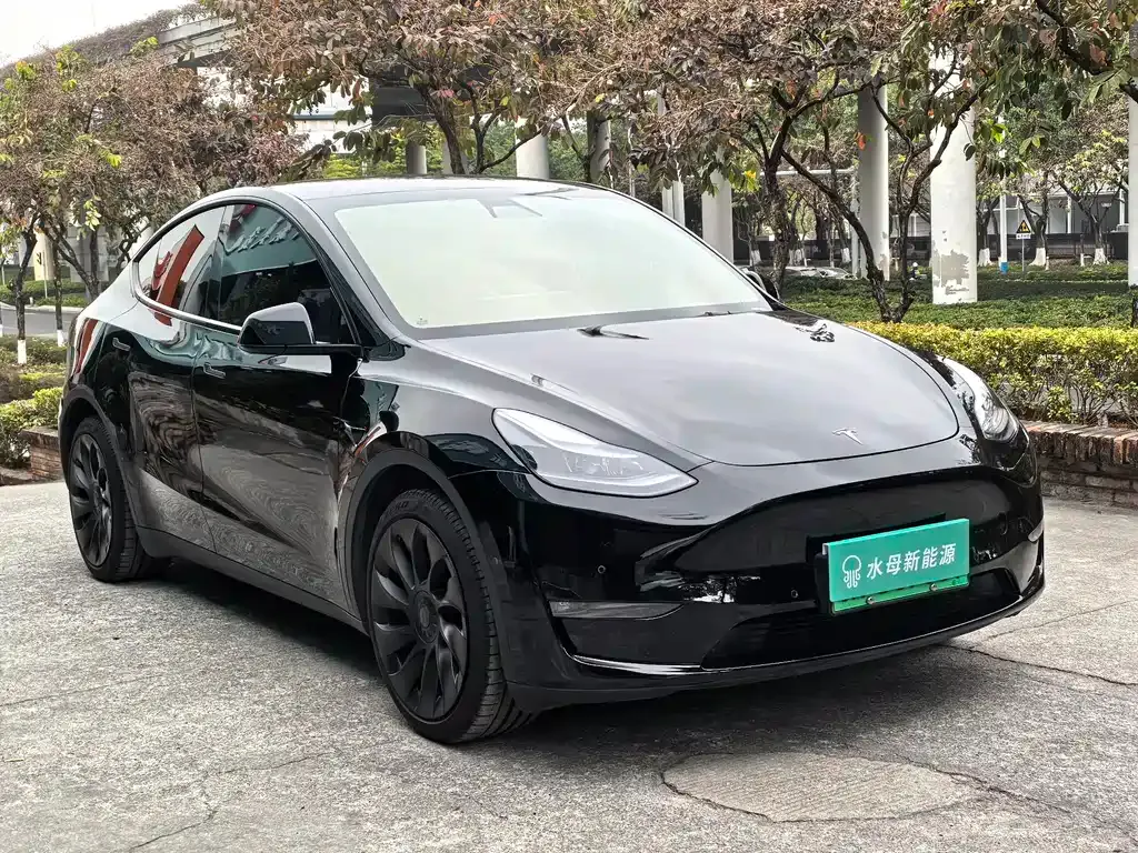 Tesla Model Y — фото 3