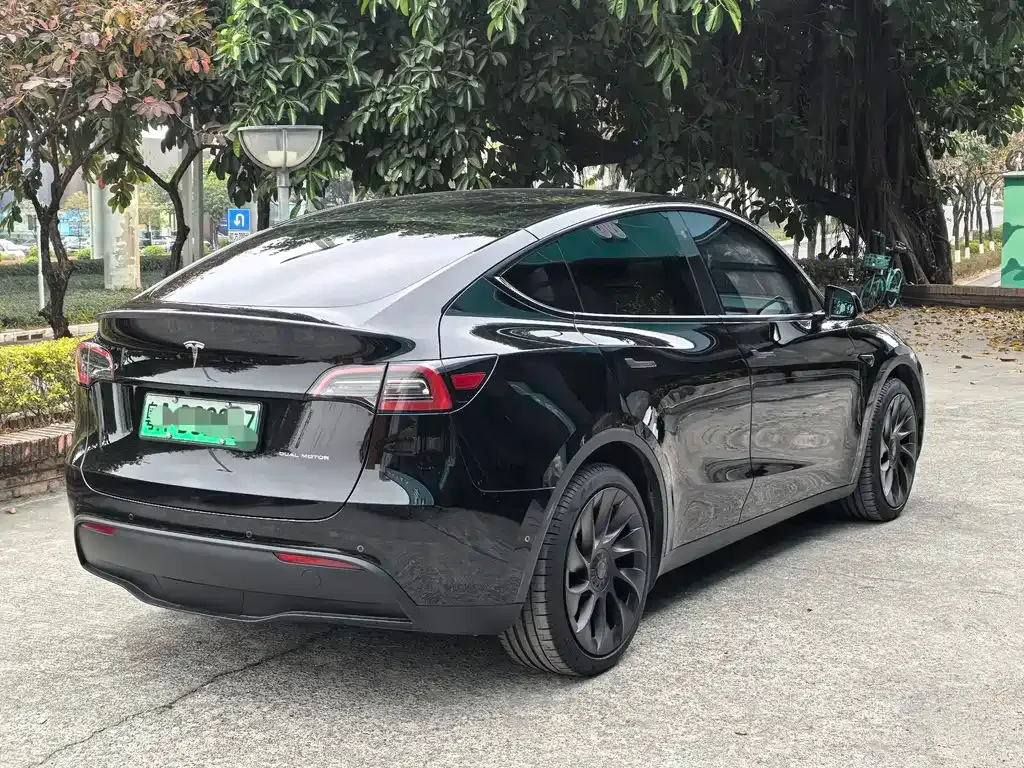 Tesla Model Y — фото 4