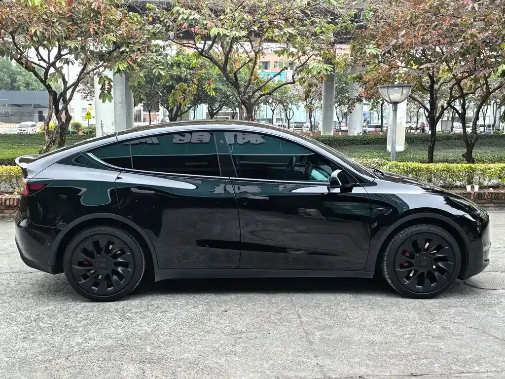 Tesla Model Y — фото 10