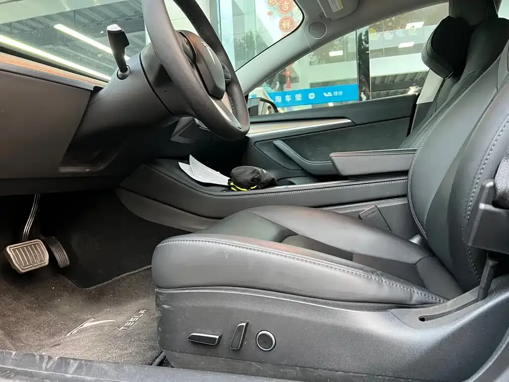 Tesla Model 3 2023 из CN, фото 3