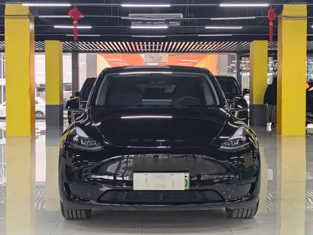 Tesla Model Y — фото 9