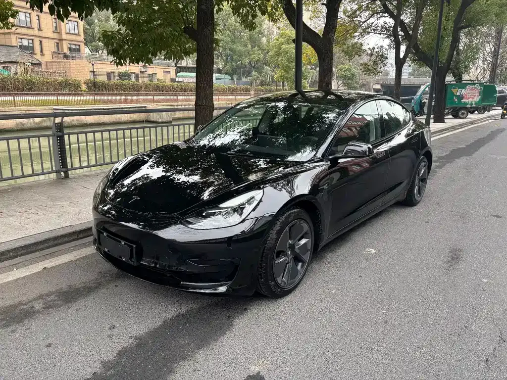 Tesla Model 3 2021 из CN, фото 1