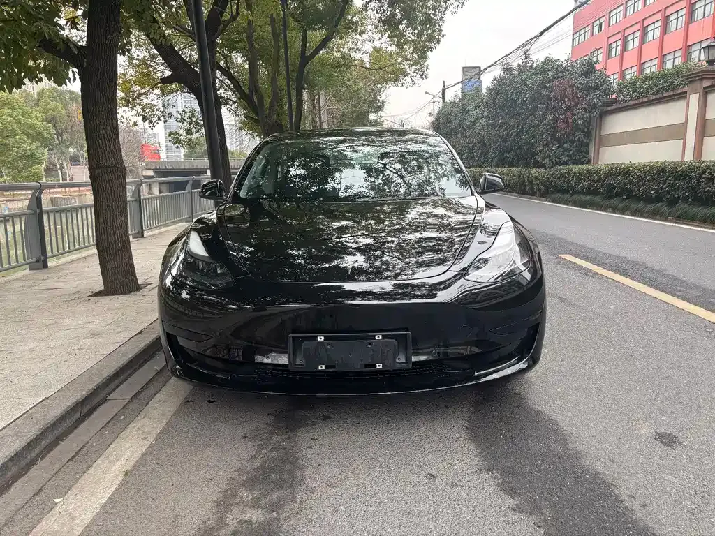 Tesla Model 3 2021 из CN, фото 9