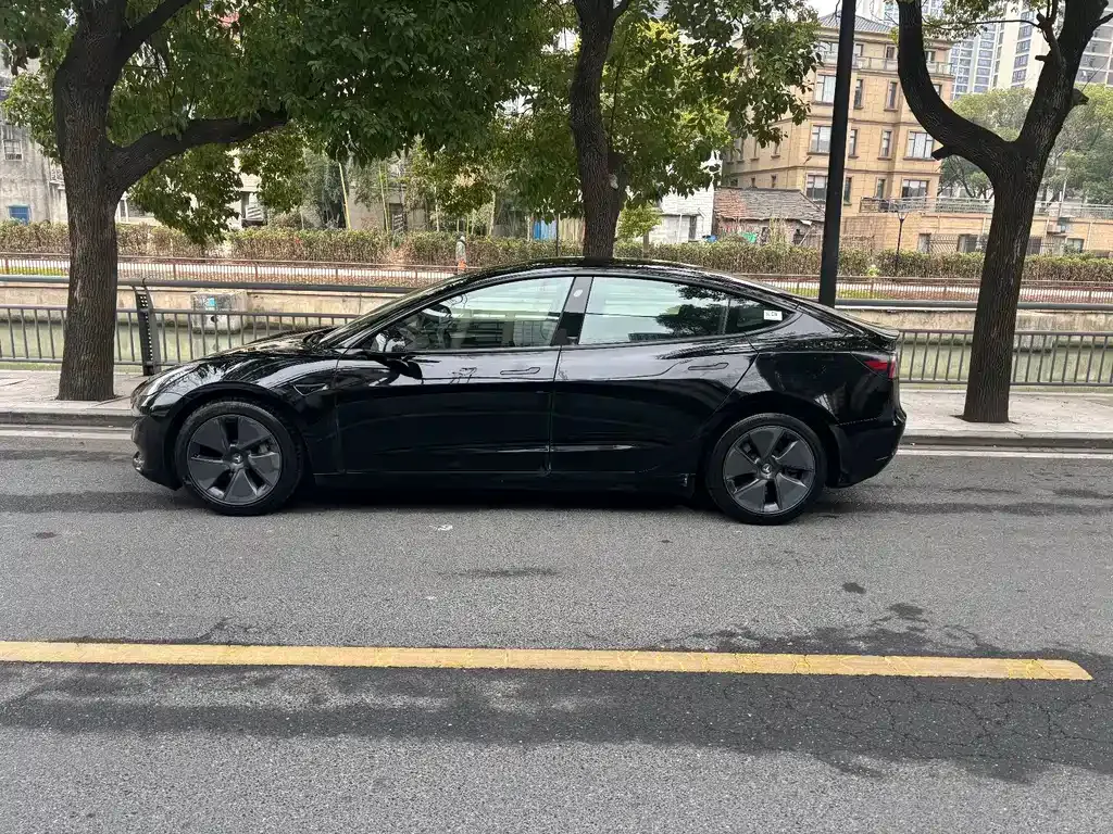 Tesla Model 3 2021 из CN, фото 7