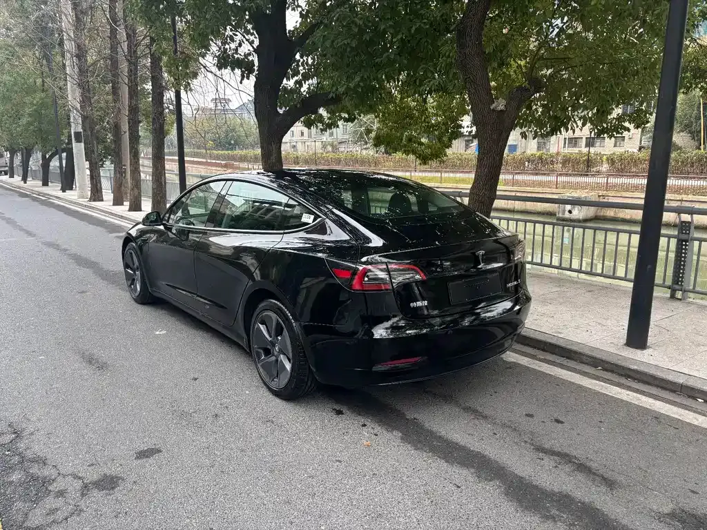 Tesla Model 3 2021 из CN, фото 6