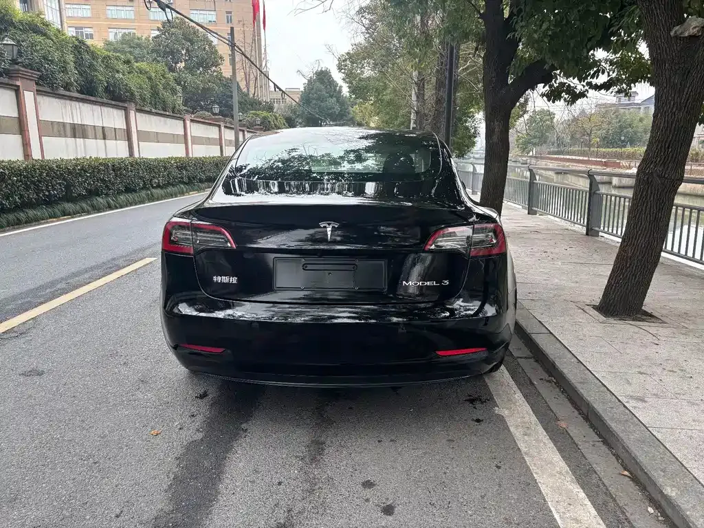 Tesla Model 3 2021 из CN, фото 2