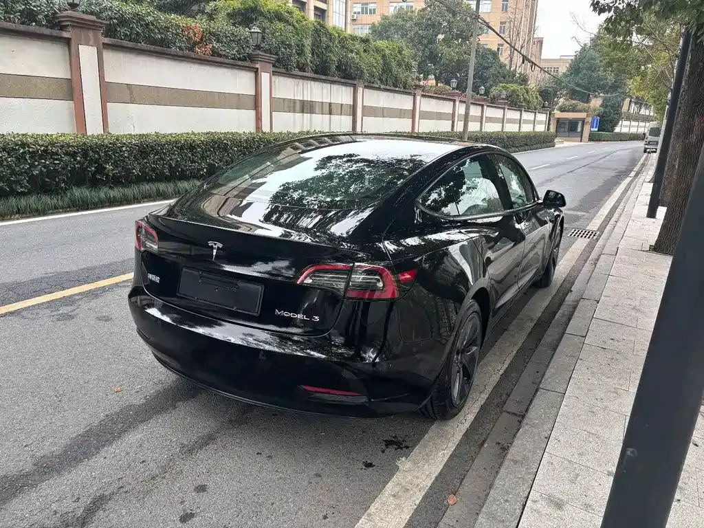 Tesla Model 3 2021 из CN, фото 8