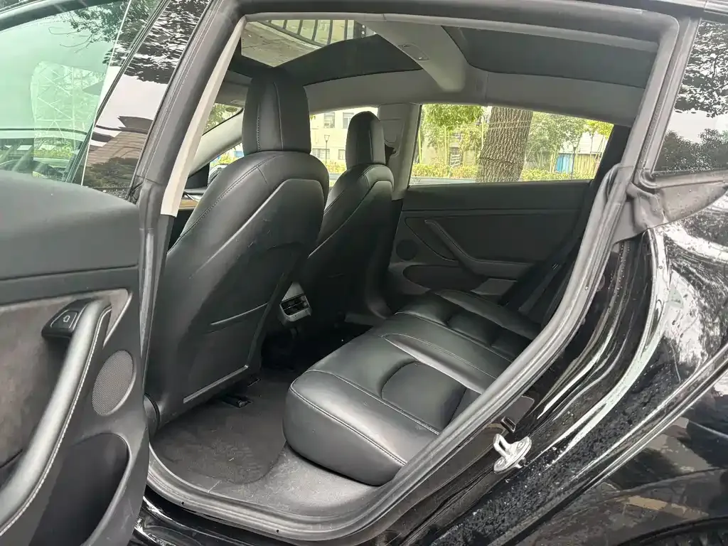 Tesla Model 3 2021 из CN, фото 4