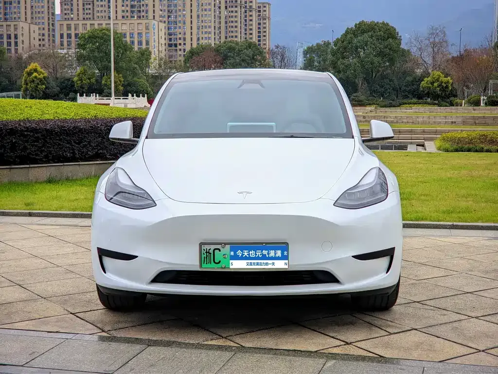 Tesla Model Y — фото 7