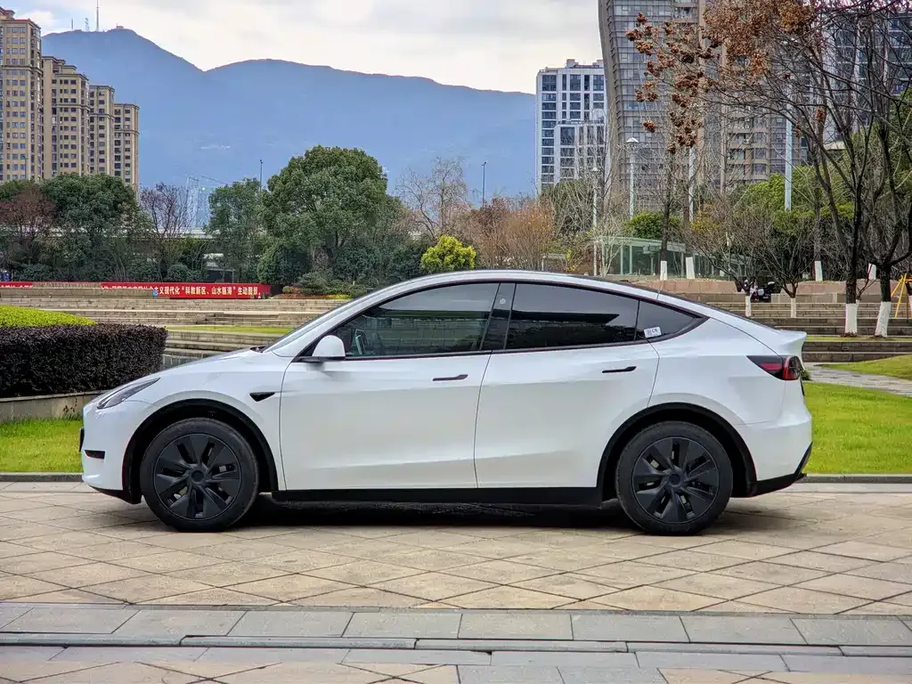 Tesla Model Y — фото 10