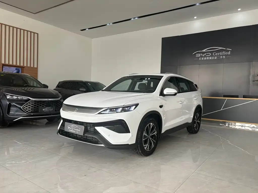 BYD Pro New Energy — фото 1