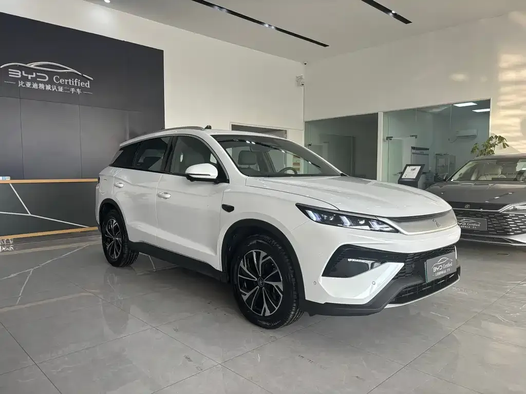 BYD Pro New Energy — фото 6