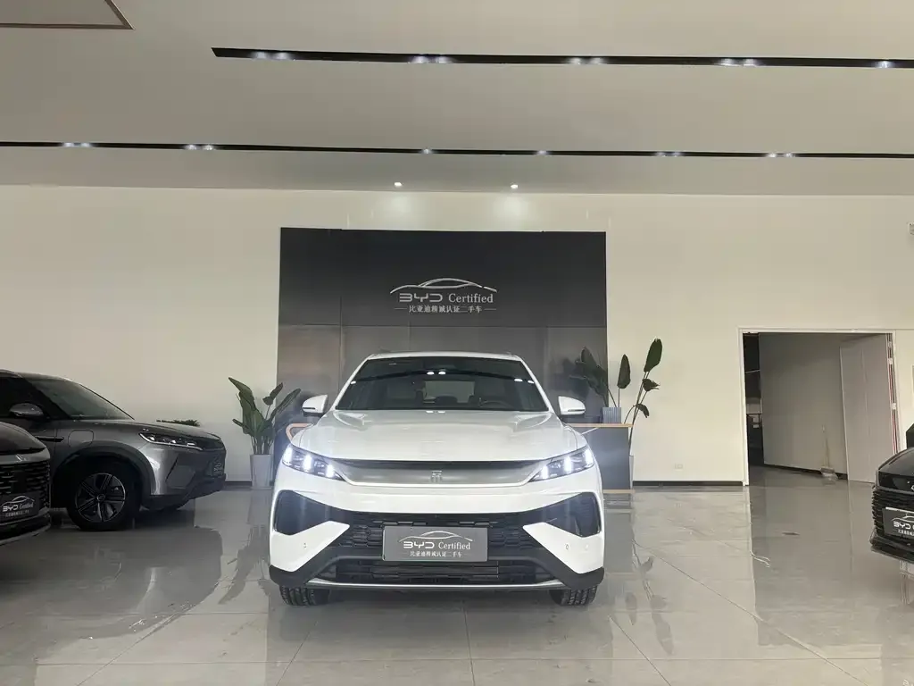 BYD Pro New Energy — фото 2