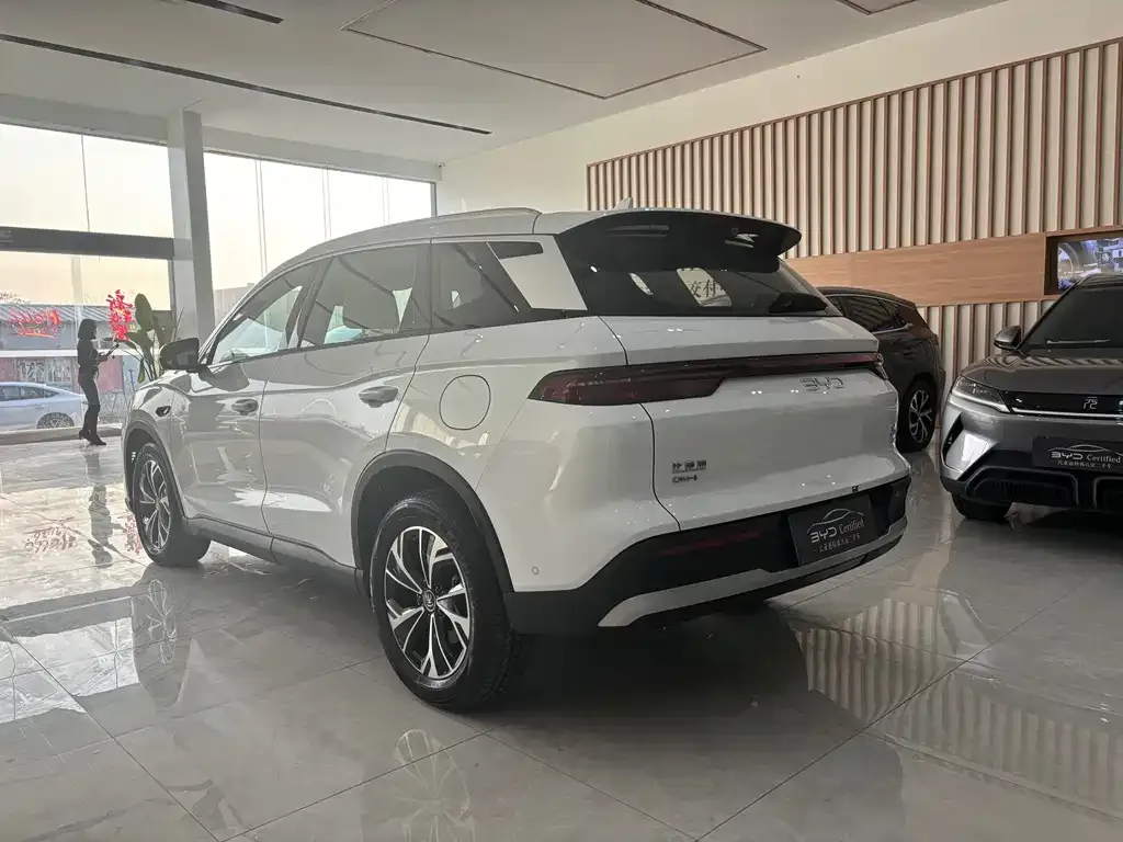 BYD Pro New Energy — фото 9