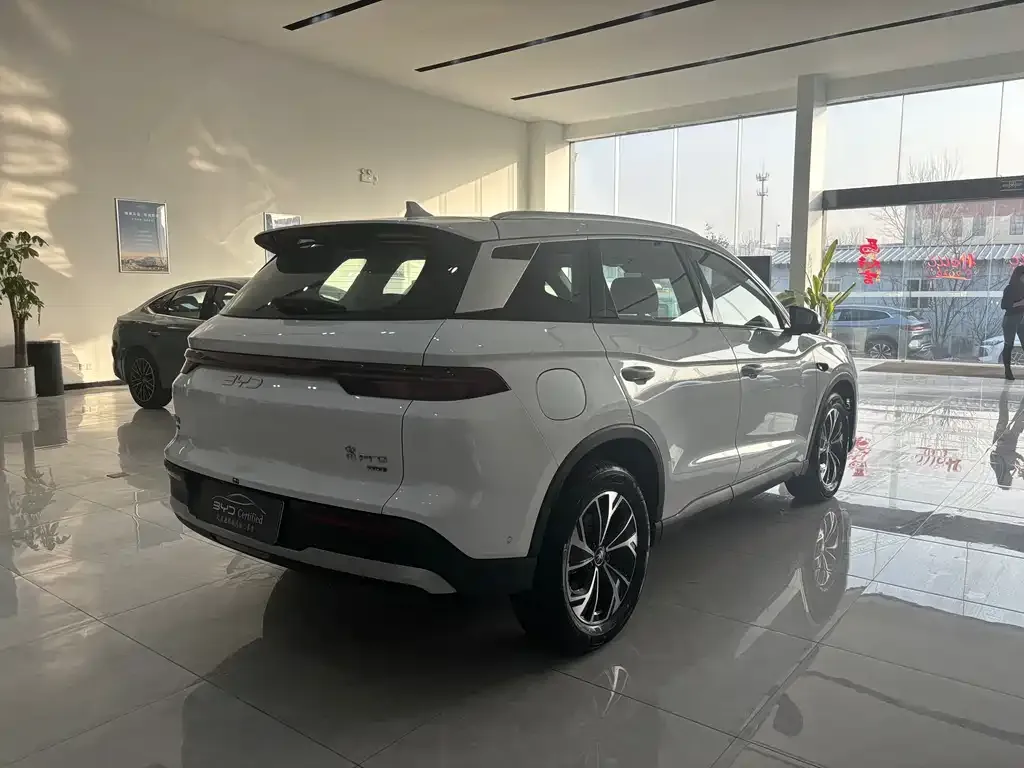 BYD Pro New Energy — фото 10
