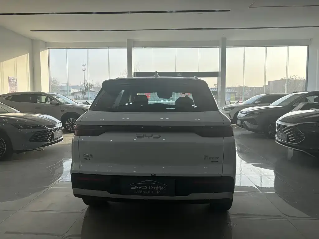 BYD Pro New Energy — фото 7