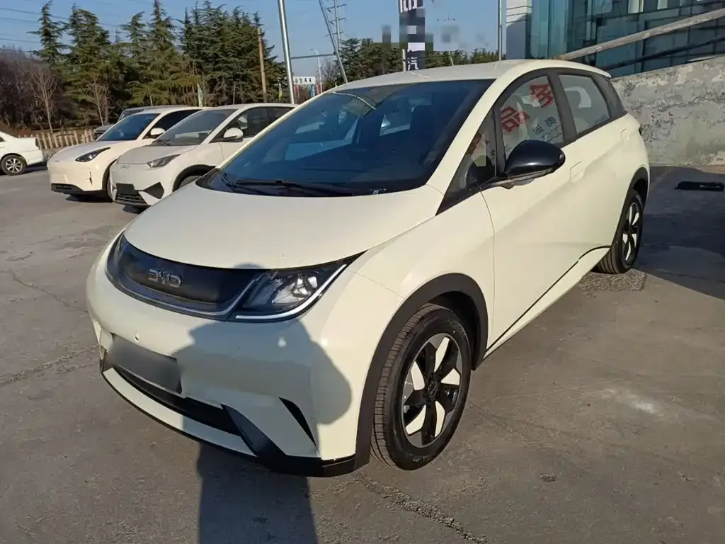 BYD Dolphin 2025 из CN, фото 1