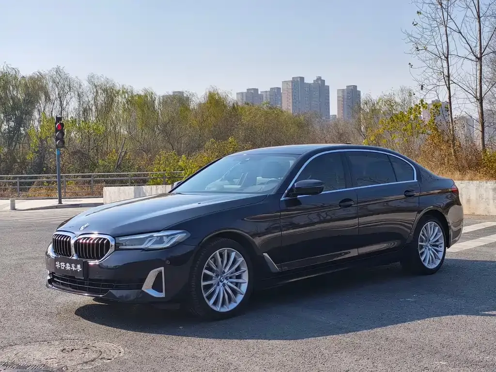BMW 5 Series 2021 из CN, фото 1
