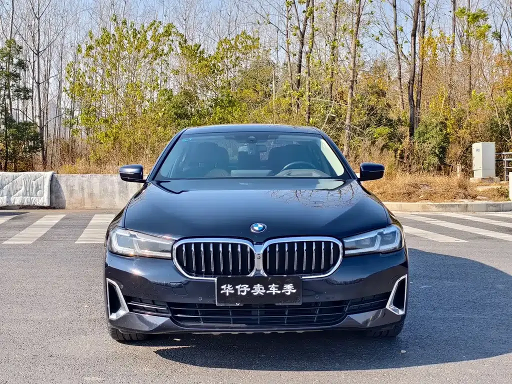 BMW 5 Series 2021 из CN, фото 9