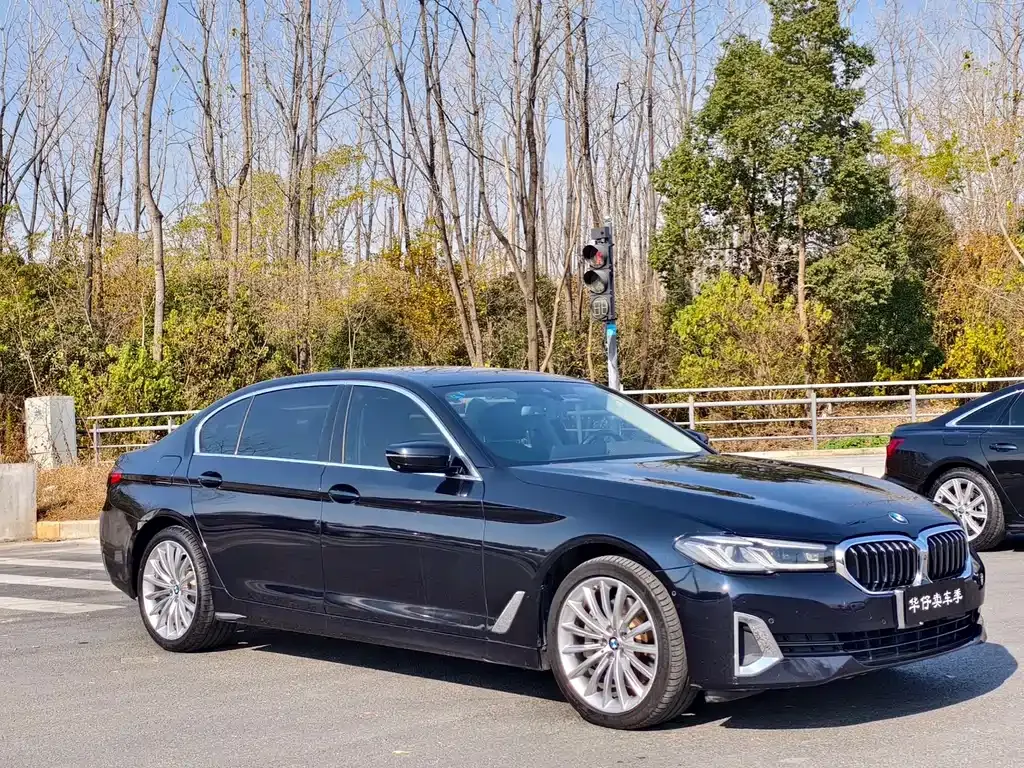 BMW 5 Series 2021 из CN, фото 8