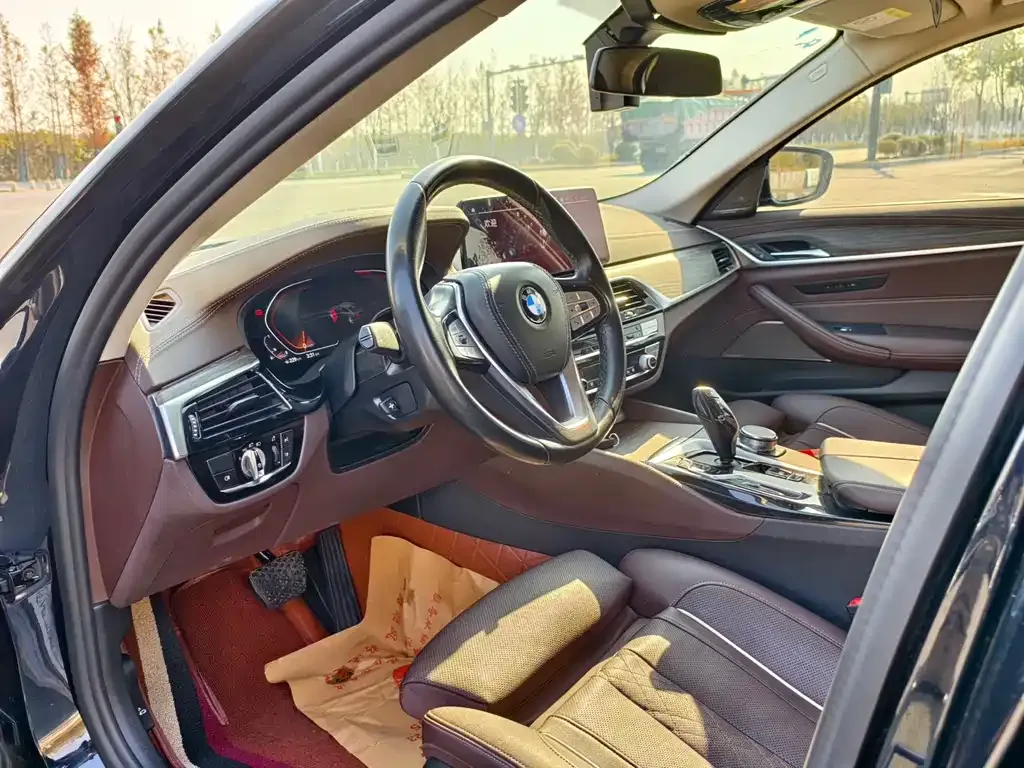 BMW 5 Series 2021 из CN, фото 4