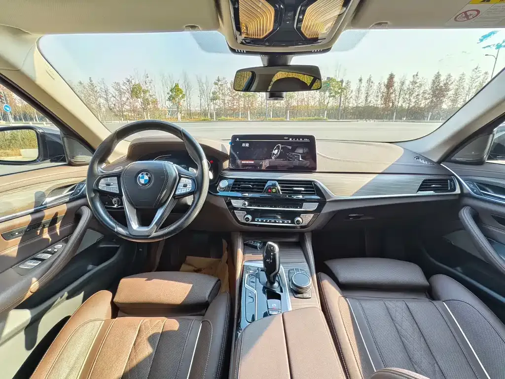 BMW 5 Series 2021 из CN, фото 7