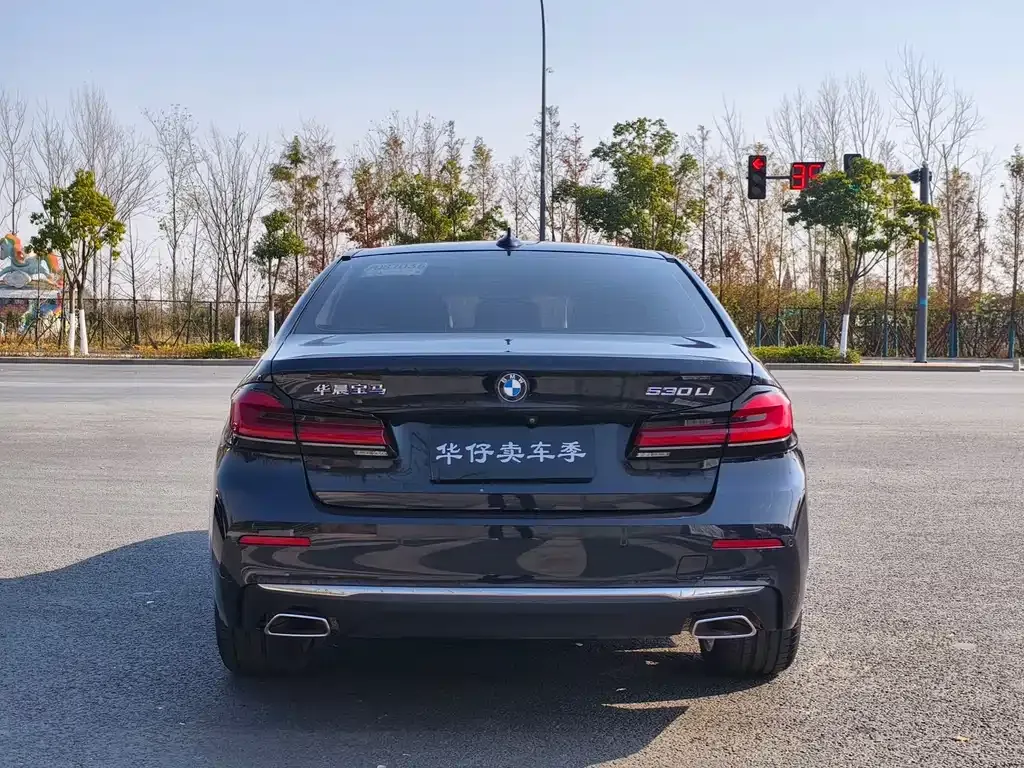 BMW 5 Series 2021 из CN, фото 6