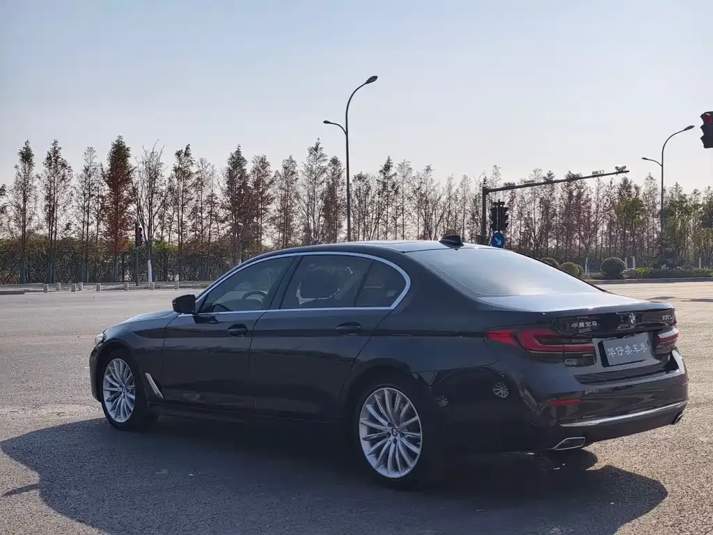BMW 5 Series 2021 из CN, фото 5