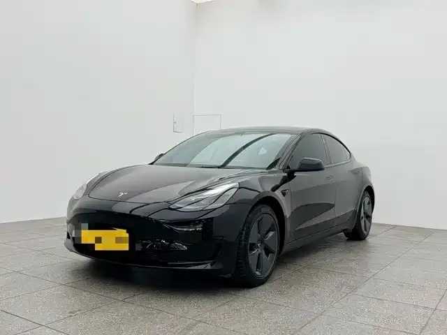 Tesla Model 3 2021 из CN, фото 1
