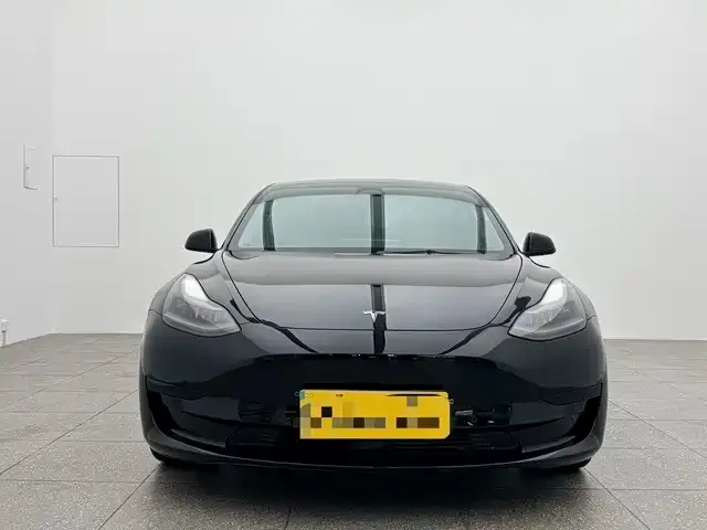 Tesla Model 3 2021 из CN, фото 7