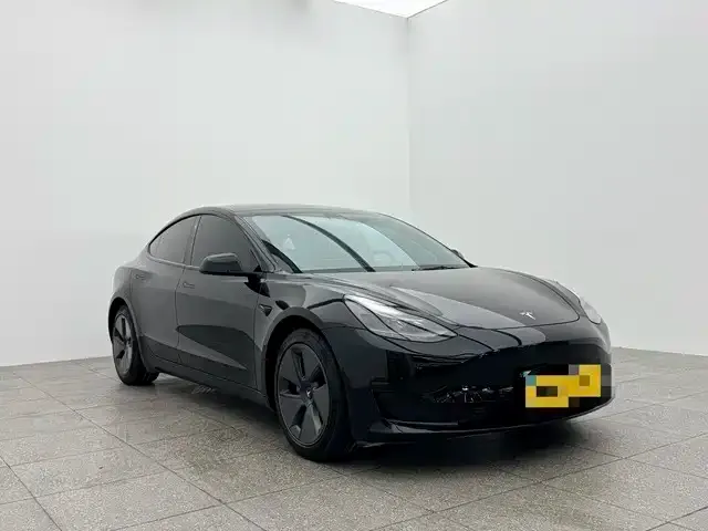 Tesla Model 3 2021 из CN, фото 9