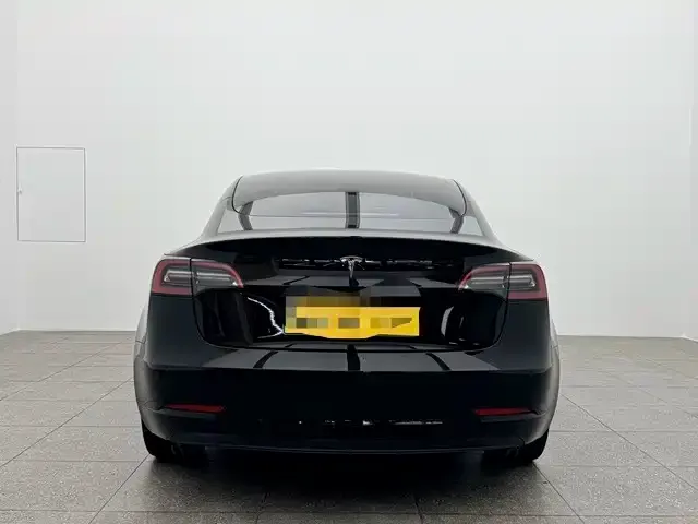 Tesla Model 3 2021 из CN, фото 4