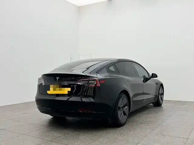 Tesla Model 3 2021 из CN, фото 6